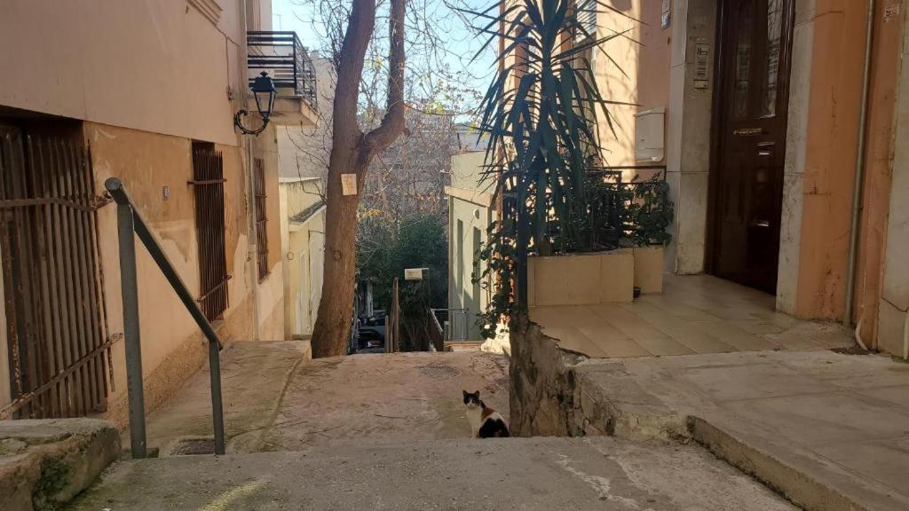 Athens City Center Luxury Suites Exteriör bild